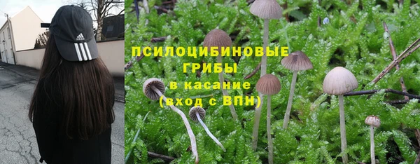 стаф Алексин
