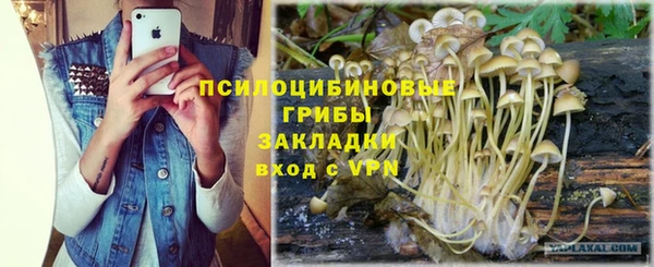 стаф Алексин