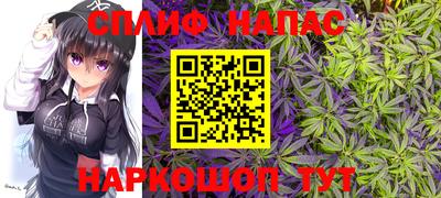 индика Кулебаки