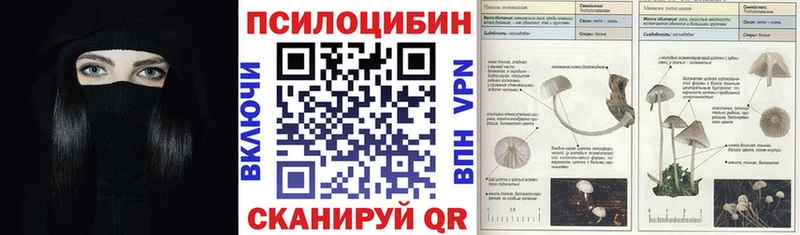 Галлюциногенные грибы MAGIC MUSHROOMS  мориарти формула  Тосно  OMG как зайти 