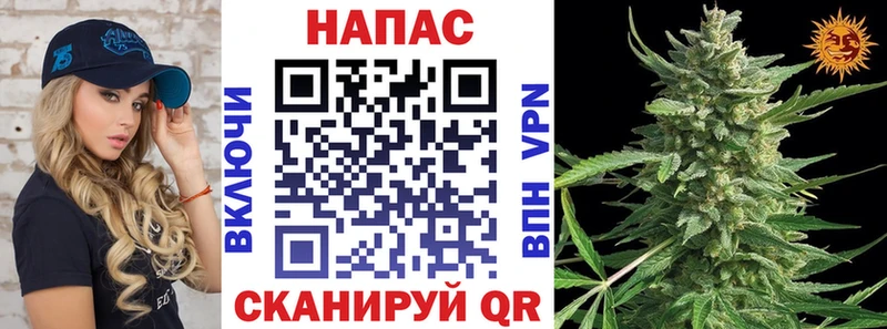 Конопля план наркота Тосно